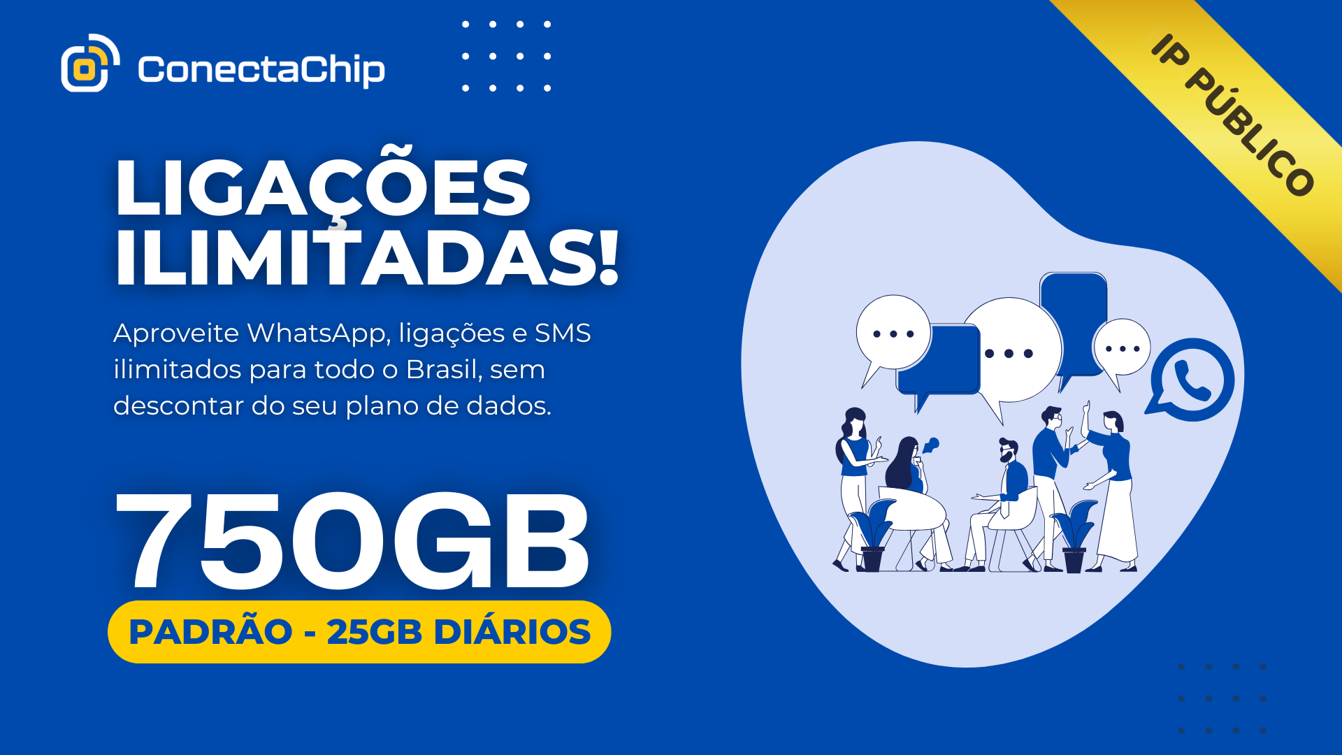 Profissional - 750GB IP Público