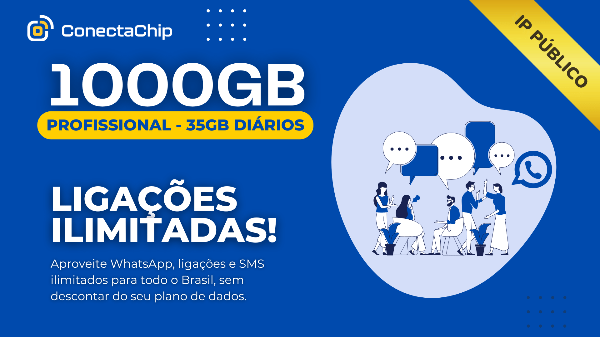 Profissional - 1000GB IP Público